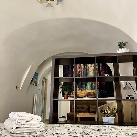 Apartment Oasis