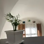 Oasis *